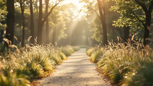 Sanfter Naturweg als Symbol für unterschiedliche Bestattungsarten.