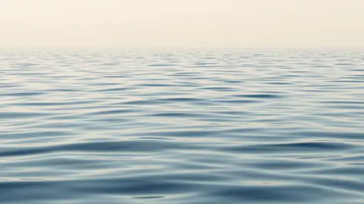 Ruhige Wasseroberfläche als Symbol für die Seebestattung.